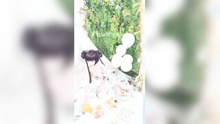 『喵小吉』《小吉的快乐野餐》户外放纵美味蜜穴